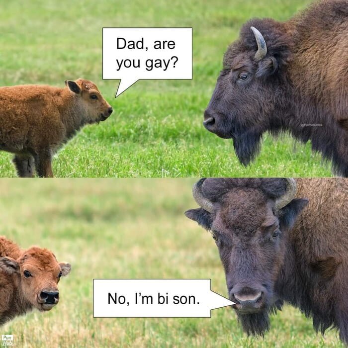 image.jpeg.6f1581ce578187b6956cd880bd92ac68.jpeg