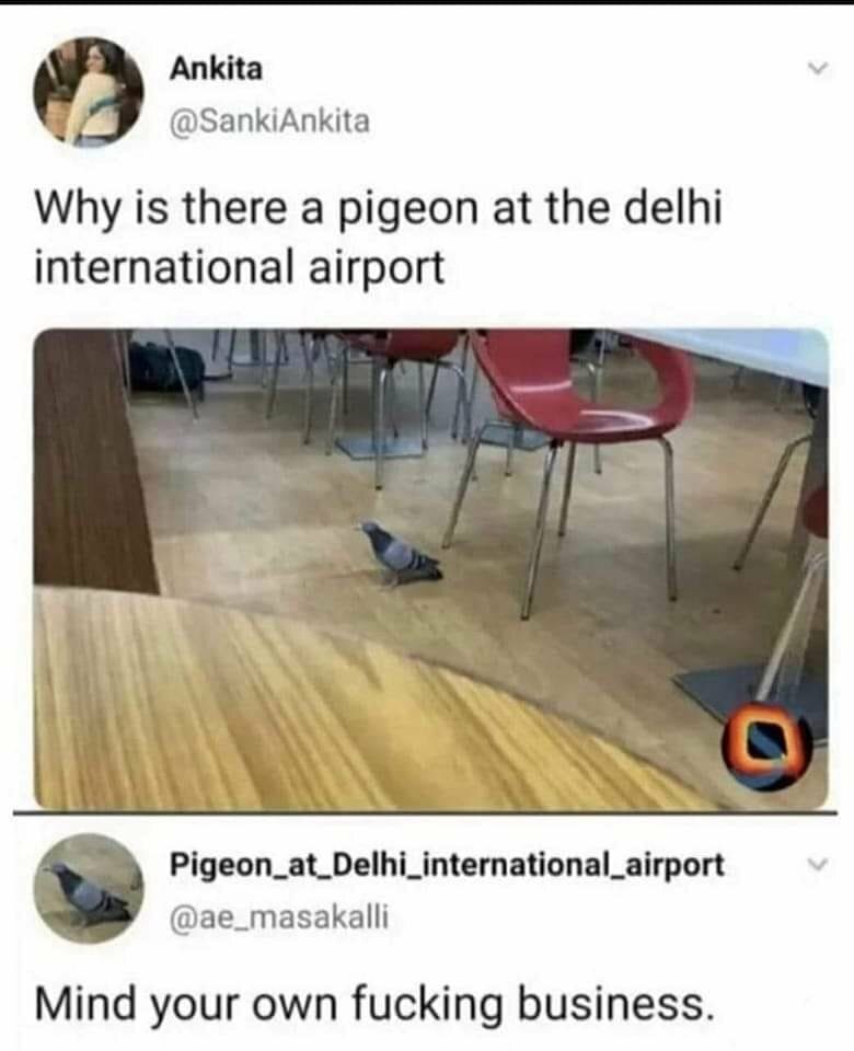 hyua.jpg.0de0c40c9e740f4fde41df3abd95d29a.jpg