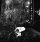 Void_Omission