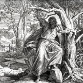 Wotan